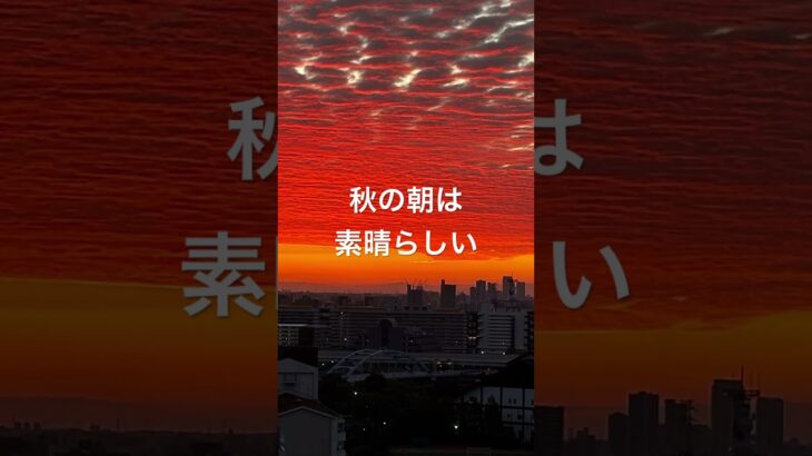 秋の朝日　2025.09.23