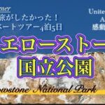 2025.Summer こんな旅がしたかった‼️イエローストーン国立公園の旅#イエローストーン #イエローストーンホライズンズツアー#世界遺産 #国立公園 #アメリカ #海外旅行 #絶景