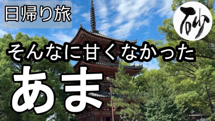 【ナイスなシニアの日帰り旅＠あま】愛知県あま市（2025年09月26日）