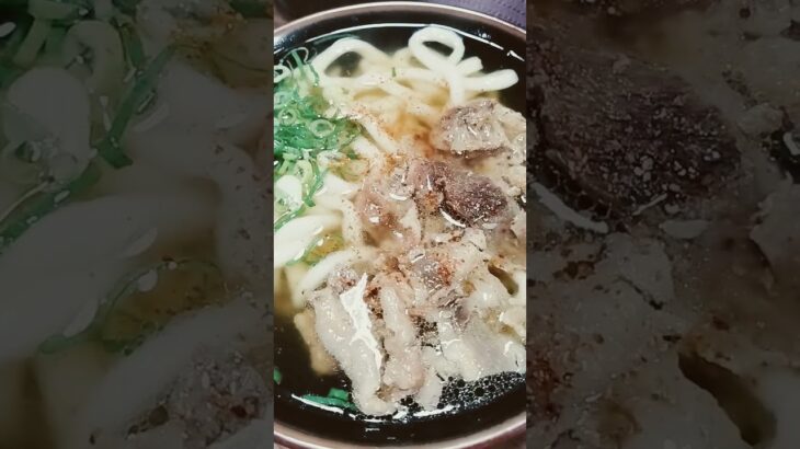 立花うどん2025年9月4日 #うどん#シニア #福岡暮らし #久留米市