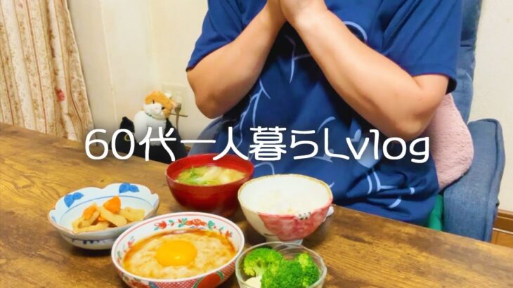 277仕事終わりの晩ごはん/新しい季節の気配/体に優しい簡単ごはん/ふわたまつくね【60代一人暮らし/シニアライフ】】