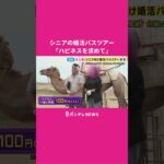 大人気！シニア向け“婚活”バスツアーに密着　5組のカップルが誕生　“人生最後の恋”を探しに鳥取へ　「熟年離婚」過去最多も　秦令欧奈｜おっカネ～NEWS〈カンテレNEWS〉