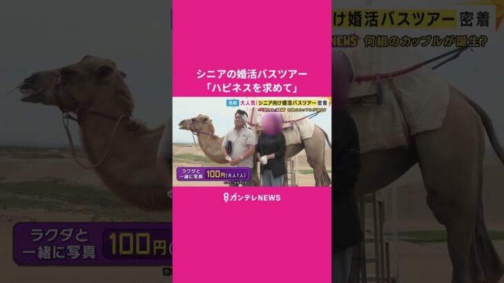 大人気！シニア向け“婚活”バスツアーに密着　5組のカップルが誕生　“人生最後の恋”を探しに鳥取へ　「熟年離婚」過去最多も　秦令欧奈｜おっカネ～NEWS〈カンテレNEWS〉