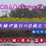 シニア犬と一泊旅行　線状降水帯には勝てない　#50代パート主婦  #シニア犬  #旅行  # 国東半島