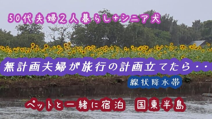 シニア犬と一泊旅行　線状降水帯には勝てない　#50代パート主婦  #シニア犬  #旅行  # 国東半島