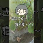 【60代ゆかり】母、年金暮らしで感じる心の負担とは…!? ＜ #シニアライフ #暮らし #老後 悩み 生活 ＞