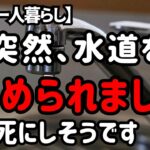 突然、命の水道を止められた60代シニアと猫の暮らし【60代一人暮らし】