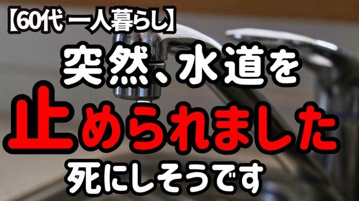 突然、命の水道を止められた60代シニアと猫の暮らし【60代一人暮らし】