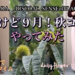 【60代70代ファッション】16 残暑が厳しいですが暦では秋。夏のファッションのままではと秋シフトしてみました。スィーツも旬の秋🍠です。