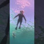 【石垣島】みーんな60歳以上シニアシュノーケリング！9月29日ツアー動画