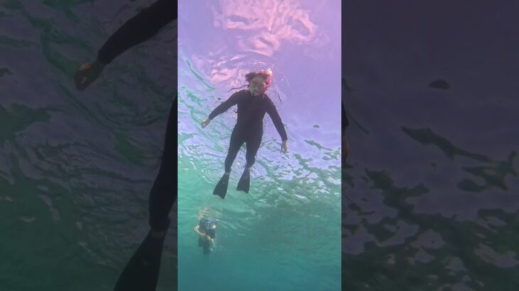 【石垣島】みーんな60歳以上シニアシュノーケリング！9月29日ツアー動画