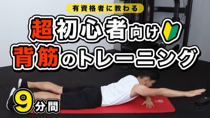 【超初心者向け】背筋のトレーニング【9分間】