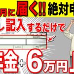 【9月に届く】年金＋6万円が一生上乗せ！この給付金は絶対に申請して！簡単なのに半数以上がもらい忘れ！【申請すればもらえるお金】