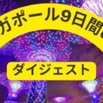 シンガポール9日間ダイジェストVlog｜シニアにもおすすめ海外旅行記