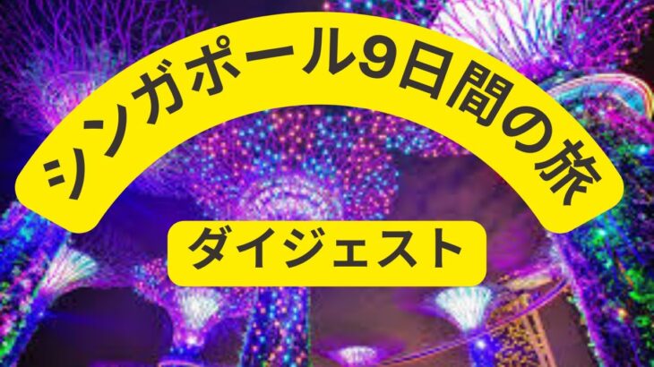 シンガポール9日間ダイジェストVlog｜シニアにもおすすめ海外旅行記