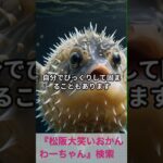松阪市 シニア向けスマホ活用教室 AIで白黒写真をカラーに 感動の再会 丁寧な対応 #shorts
