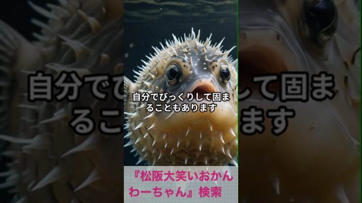 松阪市 シニア向けスマホ活用教室 AIで白黒写真をカラーに 感動の再会 丁寧な対応 #shorts