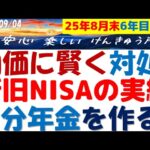 積立NISA新旧 6年目の利益公開～物価上昇で30年後は？物価に勝つ自分年金の作り方！投資戦略の体系～マネっこしてね