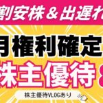 【厳選９月権利優待】安値圏＆値下がり株！NISAで買いたい高配当優待｜夢の国へ特別優待｜株主優待VLOG