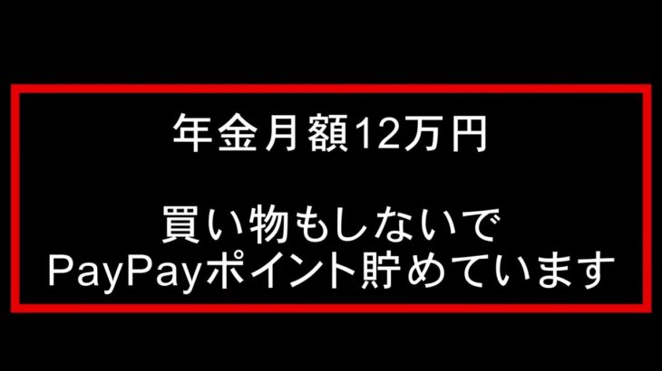 年金生活者のシニアライフ／買い物もしないでPayPayポイントを貯めてます／こんな事ができるんですね／ビックリです。