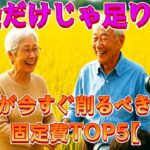 【年金だけじゃ足りない!?】シニアが今すぐ削るべき無駄な固定費TOP5【ゆっくり解説】