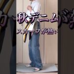 シニアZARA女の秋デニム