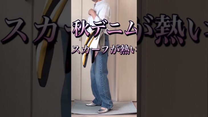 シニアZARA女の秋デニム
