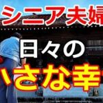 【シニアライフ】のらりくらり年金生活　シニア夫婦の日々の小さな幸せ 【のらりくらり年金生活チャンネル】