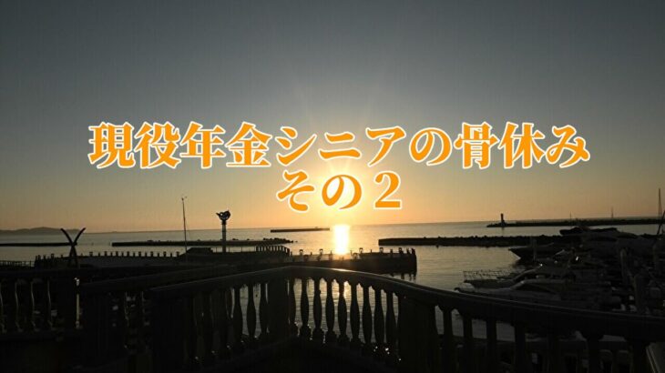 現役年金シニアの骨休み「その２」