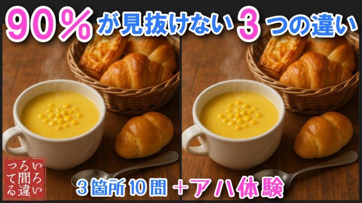 【間違い探しで脳トレ】シニアにおすすめ！美味しそうなグルメ料理画像で無料クイズ｜大人の脳活にも◎お腹がすいて食べたくなる難問
