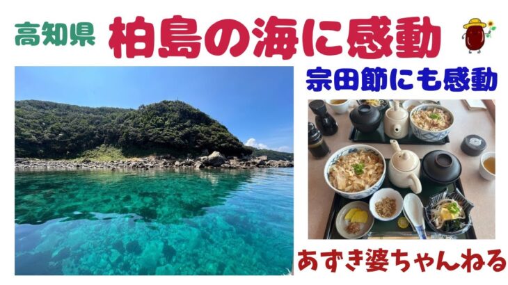 柏島の海に感動(宗田節にも感動)【シニアからの田舎移住】
