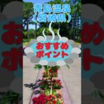 坂が少ない！歩きやすい温泉街【南九州＆沖縄３選】①青島温泉