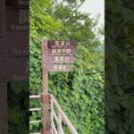 明智平ロープウェイ@日光からの眺め。遠目でも、迫力がある華厳の滝！　　　　　　　　　#旅行 #日光 #華厳の滝 #男体山