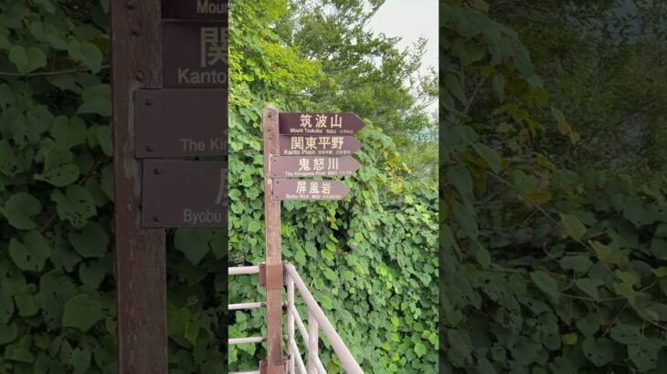 明智平ロープウェイ@日光からの眺め。遠目でも、迫力がある華厳の滝！　　　　　　　　　#旅行 #日光 #華厳の滝 #男体山