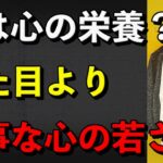 日本のシニア習慣が心を変える！服装が健康と人間関係に与える力