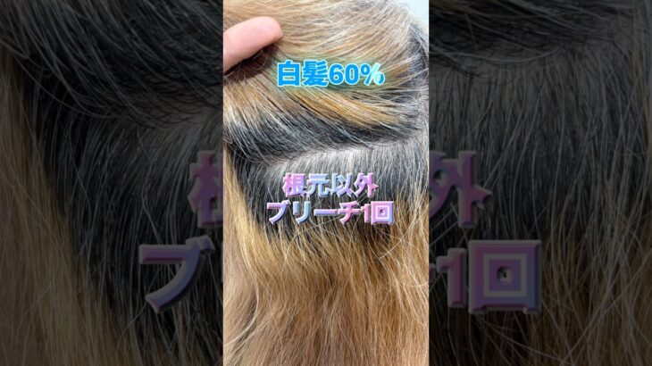 白髪染め卒業！1回ブリーチ #50代 #60代 #白髪染め#シニアライフ #老化防止