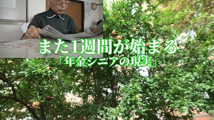 また1週間が始まる「年金シニアの現実」