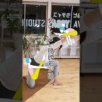 10回やるだけで怖いくらい腸腰筋が強くなる💪#腸腰筋 #ヨガ #ダイエット