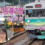 シニアのひとり旅2025秋🍁♨️🍧秩父鉄道ちちぶ長瀞へ