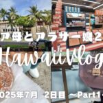 【2025.7月】70代シニア母とアラサー娘2人旅【Hawaii Vlog】2日目① ｱｲﾗﾝﾄﾞｶﾝﾄﾘｰﾏｰｹｯﾄ/ﾃﾞｨｰﾝ&ﾃﾞﾙｰｶ/ｽﾀｰﾊﾞｯｸｽ/ﾚﾅｰｽﾞ/SEPHORA