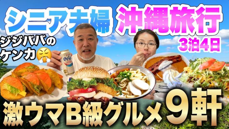 沖縄旅行20,940円格安ツアーで行くB級グルメ旅シニア夫婦３泊４日夫婦喧嘩勃発💢ANAトラベラース2022年12月