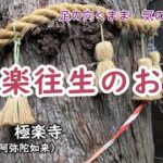 【四国遍路2回目の旅】第2番　極楽寺　～　極楽往生の寺　　　概要欄も読んでね！#シニア　#お遍路　#旅