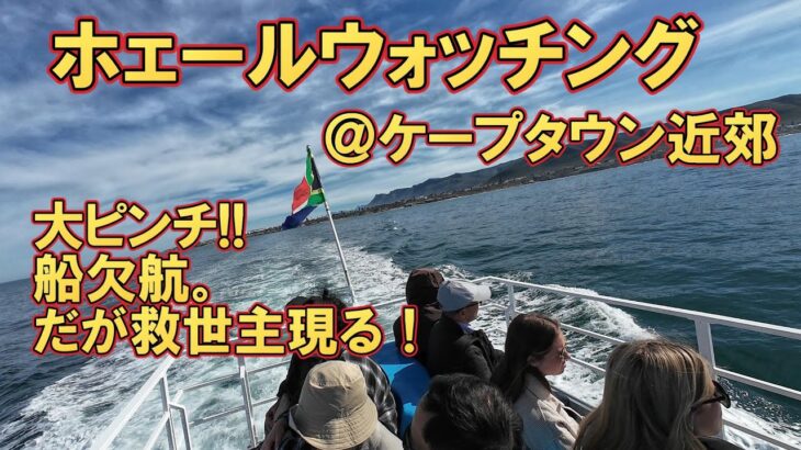 ホェールウォッチング＠ケープタウン近郊。アフリカ南部の旅22。シニアの一人旅。