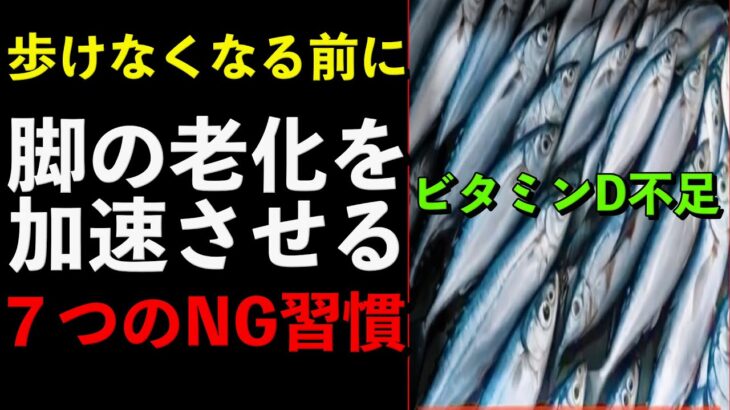 シニアの健康を守る3つのポイント!