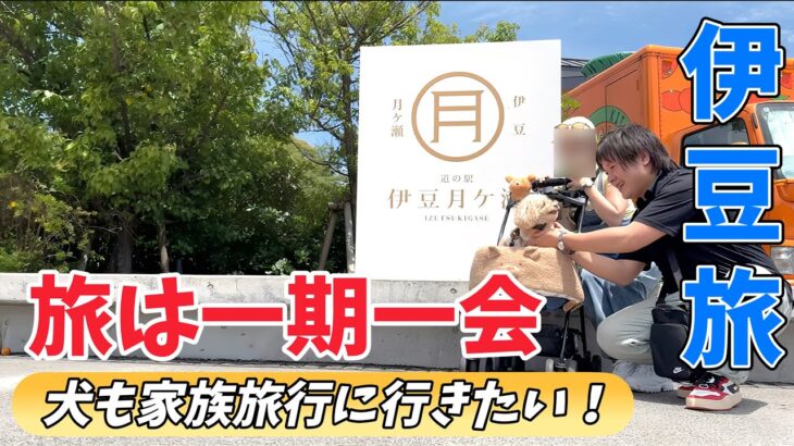 30代、シニア犬のおすすめ旅。道の駅伊豆月ケ瀬の〇〇〇丼が最高に美味い【犬と旅行】