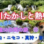 愛犬と車中泊・キャンプ旅【シニア夫婦のセカンドライフ】愛犬と巡る北海道58日間の旅　⑬