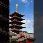 ♯旅行　♯60代　♯浅草