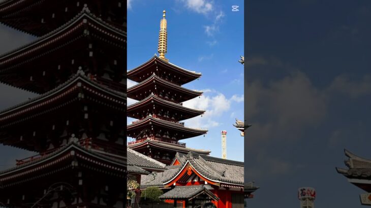 ♯旅行 ♯60代 ♯浅草