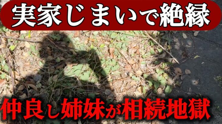 【相続地獄】“実家の片付け”が姉妹を壊した…相続の裏で起きた悲しい結末｜友人からの相談｜60代の現実#相続問題 #実家じまい#終活 #シニアライフ #60代主婦vlog