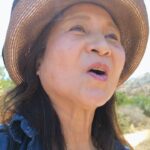 【60代からのアメリカ移住】静かな絶景でシニアが癒しの時間を過ごせるLA南端の隠れスポットを発見しました